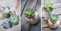 wedding photo - Succulent In A Jar