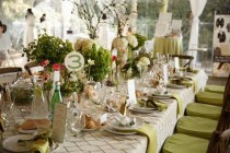 wedding photo - Green And Gold Theme 