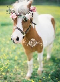 wedding photo - Mini Cheval de mariage