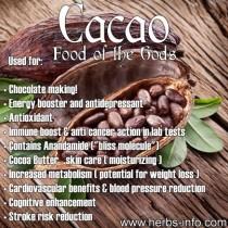 wedding photo - ❤ Uses And Health Benefits Of Cacao ❤ 