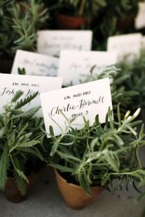 wedding photo - اواني صغيرة من الأعشاب للحصول على بطاقات مكان.