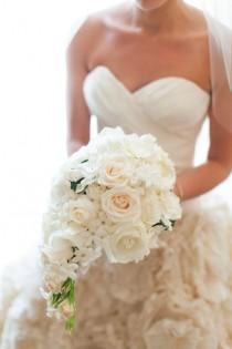 wedding photo - Ivory