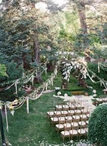 wedding photo - خمر حديقة الزفاف
