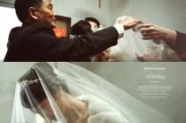 wedding photo - عرس السعادة-563
