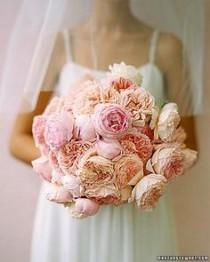 wedding photo - Pivoines et roses de chou ..
