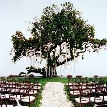 wedding photo - Hochzeiten - Ceremony Spaces