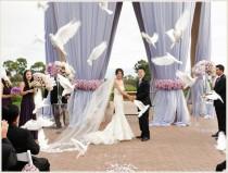 wedding photo - Weddings - Ceremony Spaces