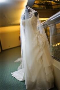 wedding photo - The Veluz Bride 
