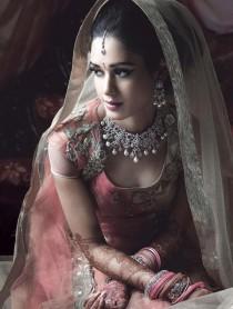 wedding photo - Élégance En Inde