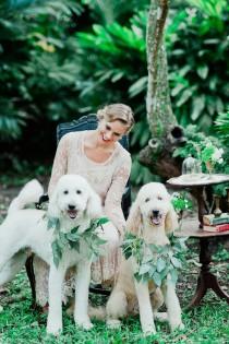 wedding photo - Dogs At Weddings