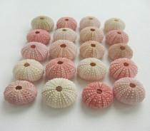wedding photo - Simple Sea Urchin Shell Place Card Holders - Pink - For Your Beach Wedding, Green Wedding, Or Eco Friendly Event. As Seen In Lucky Magazine.