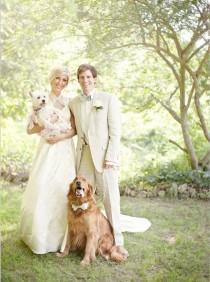 wedding photo - Dogs At Weddings 
