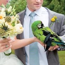 wedding photo - كيفية تضمين الحيوانات الأليفة في حفل الزفاف الخاص بك الحيوانات الزفاف