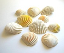wedding photo - Chocolate Filled Candy Clam Shells -12