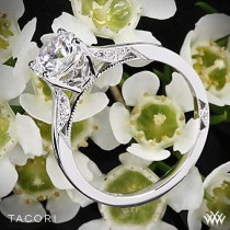 wedding photo - 18k White Gold Tacori Dantela Crescent Motif Solitaire Engagement Ring