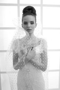 wedding photo - Veronika Hochzeitskleid