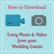 wedding photo - Вторник Учебник