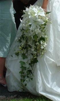 wedding photo - Lily Und Ivy Cascade