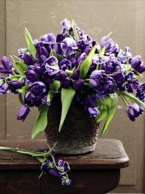 wedding photo - Фиолетовые Тюльпаны И Душистый Горошек 