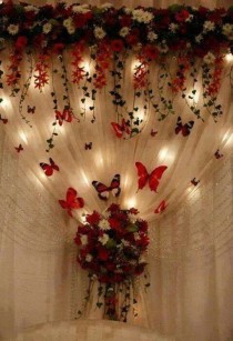 wedding photo - бабочки
