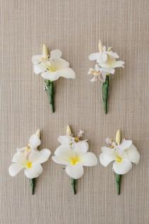 wedding photo - Orchid Boutonnieres 