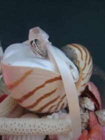 wedding photo - J'adore l'idée de Shell pour un mariage de plage!
