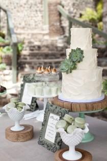 wedding photo - Succulent Inspired 