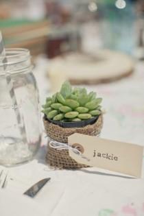 wedding photo - I Love Succulents! 