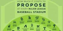 wedding photo - INFOGRAPHIC: This Is How Much It Costs To Propose At Every MLB Ballpark