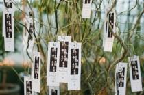 wedding photo - Utilisez Chicken Wire pour accrocher la décoration sur les arbres