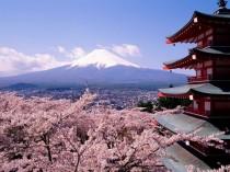 wedding photo - Mount Fuji, Japan. 