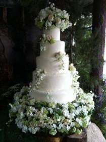wedding photo - Movie: Breaking Dawn Wedding Cake 