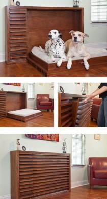 wedding photo - A Murphy Bed For Dogs! 
