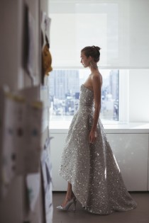 wedding photo - Silver Gown:   