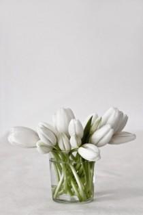 wedding photo - Tulipes blanches