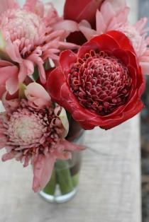 wedding photo - Protea - Тропические Цветы 
