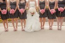 wedding photo - Мягкий Розовый Серый Свадьба В Калифорнии