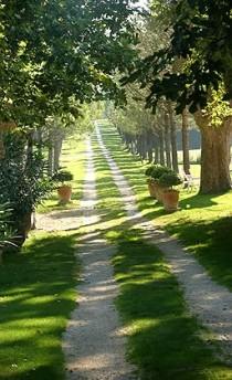 wedding photo - Country Road In Avignon ~ France 