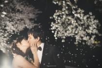 wedding photo - [Hochzeits-] Sakura Regen