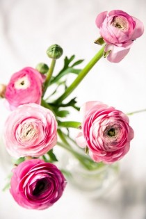 wedding photo - Ranunculus 