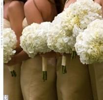 wedding photo - Hydrangea 