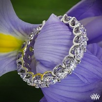 wedding photo - Eternity anneaux