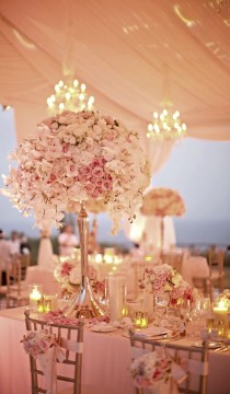 wedding photo - Hochzeits-pink