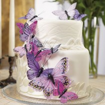 wedding photo - Schmetterlings-Küsse