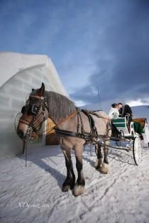 wedding photo - Inspiration de mariage d'hiver