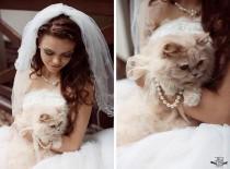 wedding photo - Pets @ Your Wedding