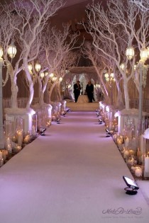 wedding photo - :: الشتاء الزفاف ::