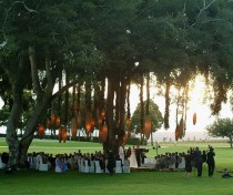 wedding photo - في الهواء الطلق ديكور الزفاف