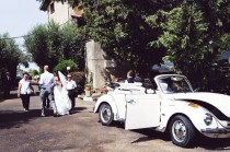 wedding photo - Mariages de jardin