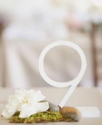 wedding photo - ~ Mariage: Table Numbers & Menu ~